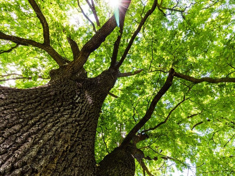 Ab Wann Gilt Das Gewohnheitsrecht Gewohnheitsrecht beim Grundstück: Wann gilt ungeschriebenes Recht?