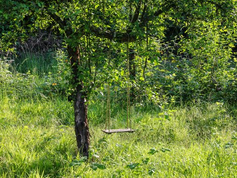 Schrebergarten, verwildern, Foto: blende11.photo/stock.adobe.com