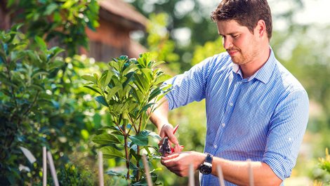 Hausordnung, Garten, Gemeinschaftsgarten, Foto: Halfpoint / adobe.stock.com