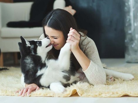 Eigentümer, Haustiere, Tierhaltung, Foto: nuzza11/fotolia.com