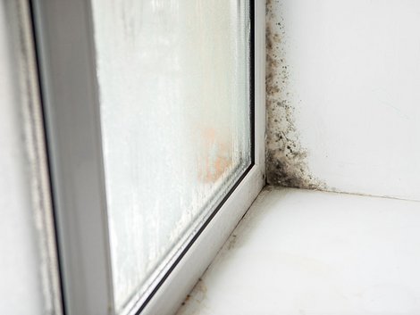 Schimmel, Lüften, Fenster, Foto: Burdun/fotolia.com