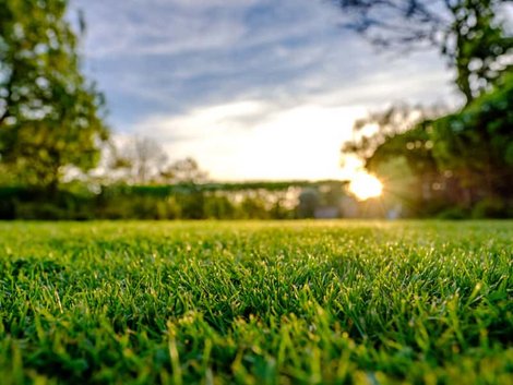 Kaufvertrag, Grundstück im Grünen mit untergehender Sonne im Gegenlicht, Foto: iStock / Nickbeer