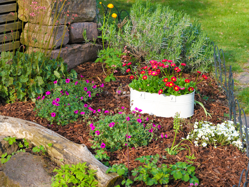 Unkraut Vernichten So Werden Hobbygartner Wieder Herr Uber Ihren