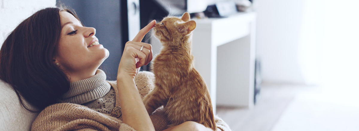 Haustierhaltung – Hund, Katze, Gecko in der Mietwohnung