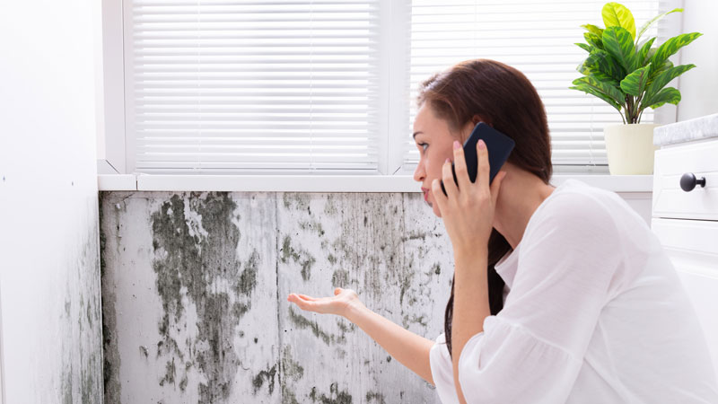 Mietminderung Schimmel