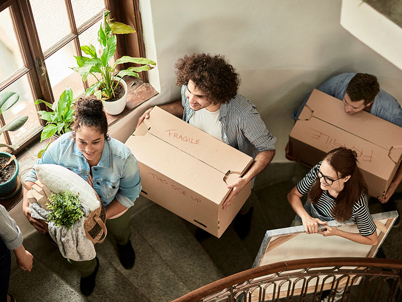 Umzugsplaner | Umzug planen ohne Stress | Immowelt